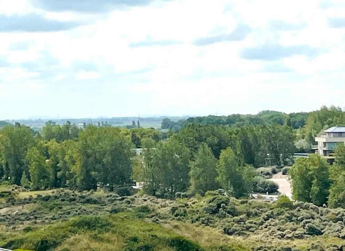 Gerenoveerd In Hartje - Met Privegarage Nieuwpoort